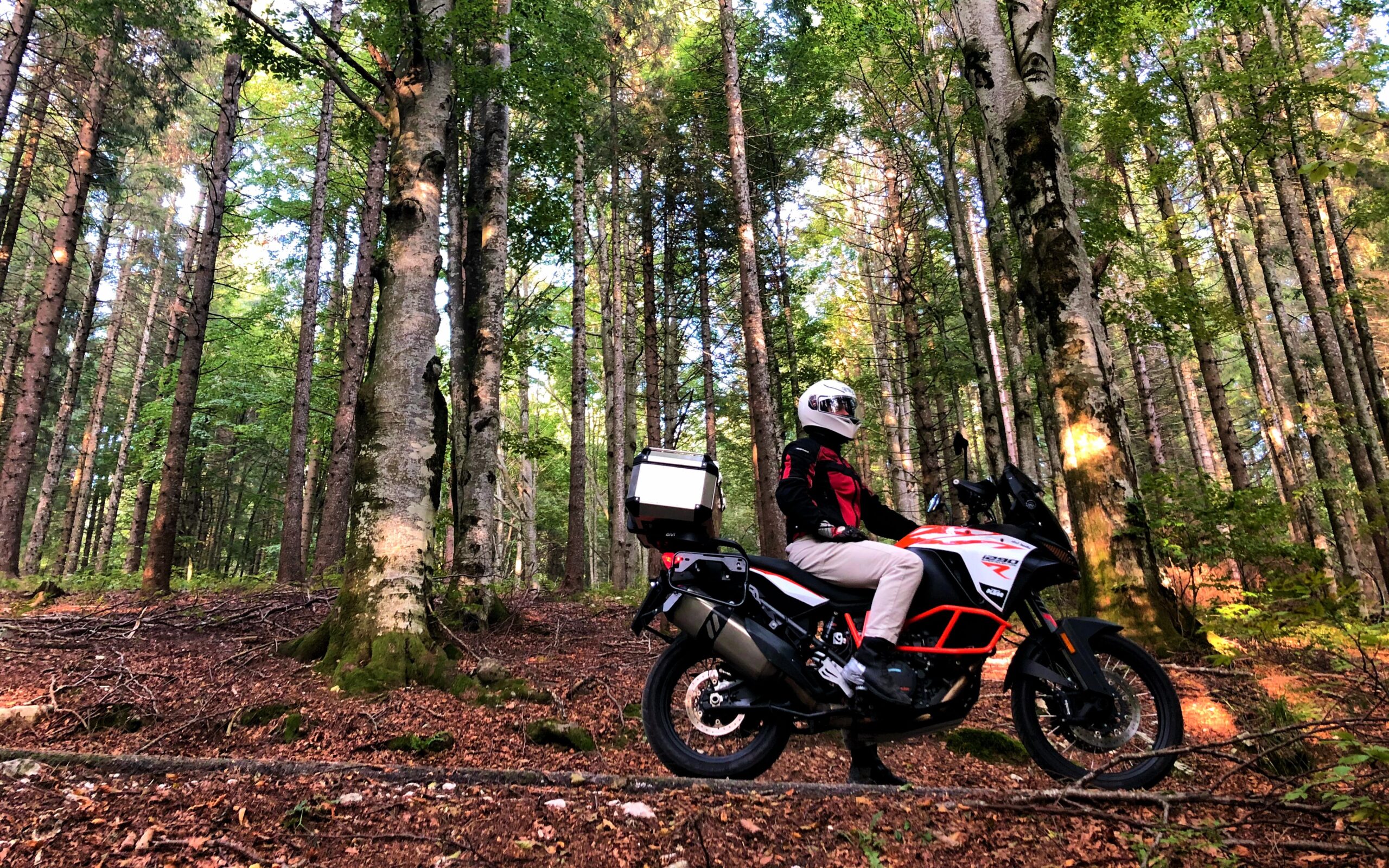 Monte Pizzoc forest explored by motorcycle